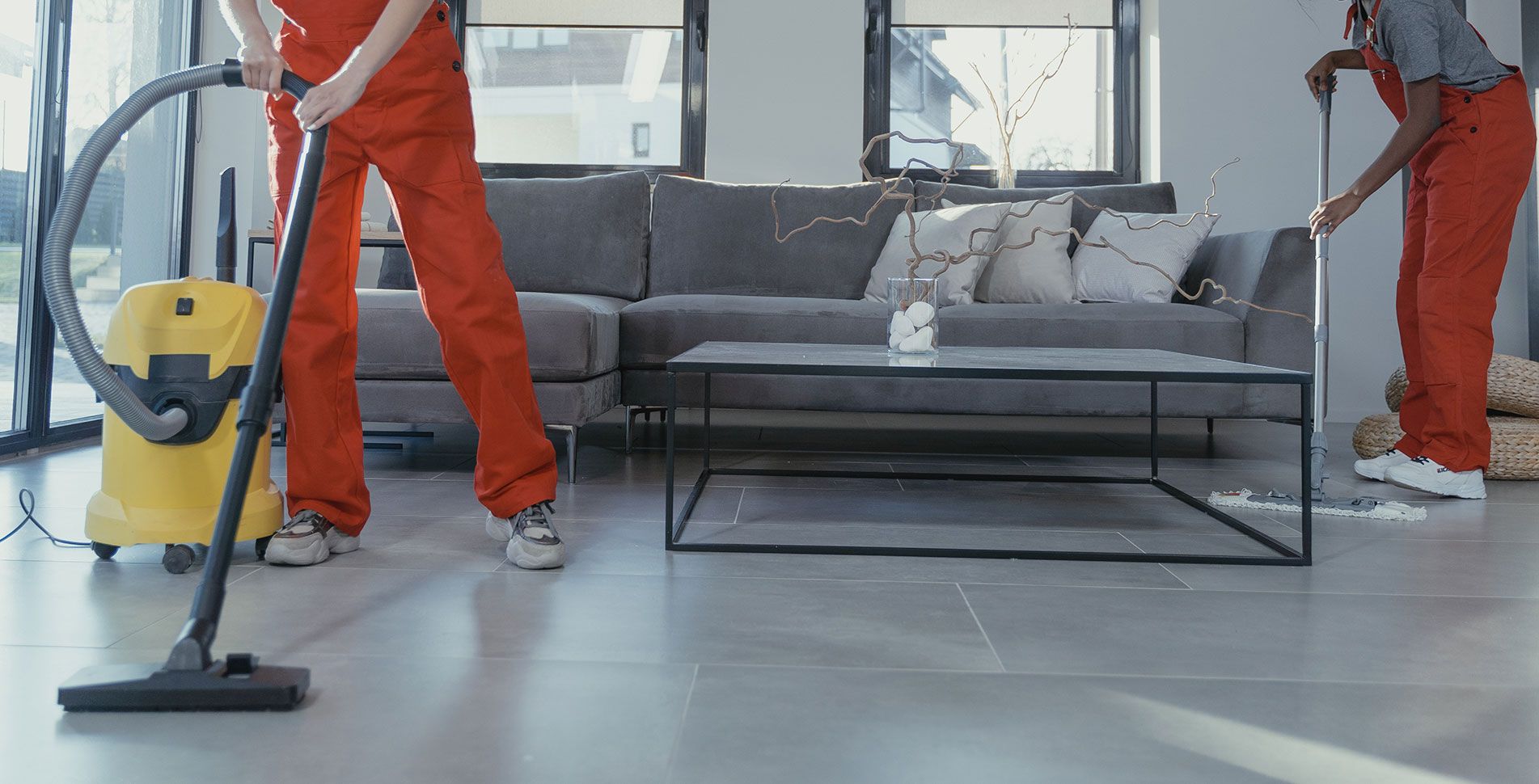 Limpieza de comunidades